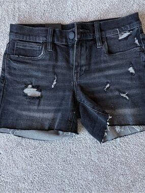 BLANKNYC The Fulton Distressed Black Denim Shorts Size 24